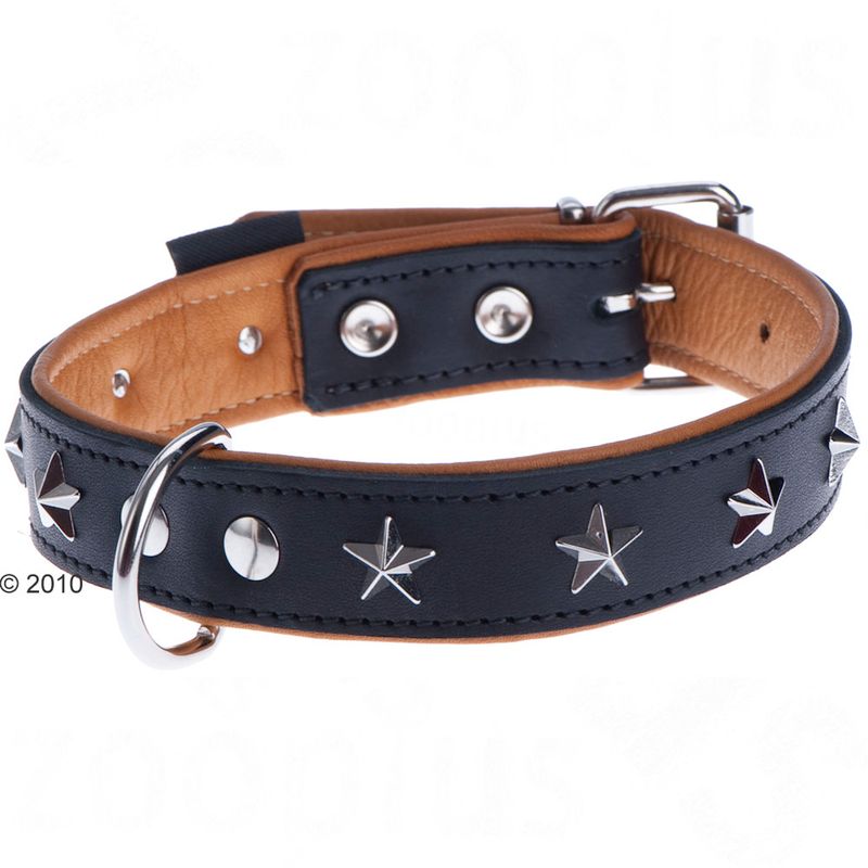 Heim Leather Lead & Collar Set - Stars Set 1