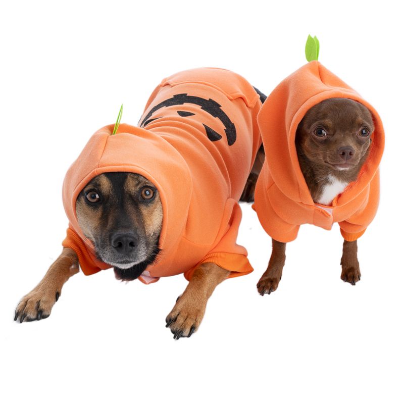 TIAKI Pumpkin Hoodie Size: S