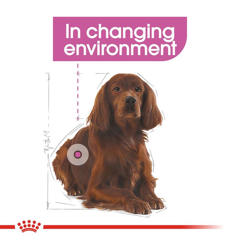 Royal Canin Medium Relax Care 10kg