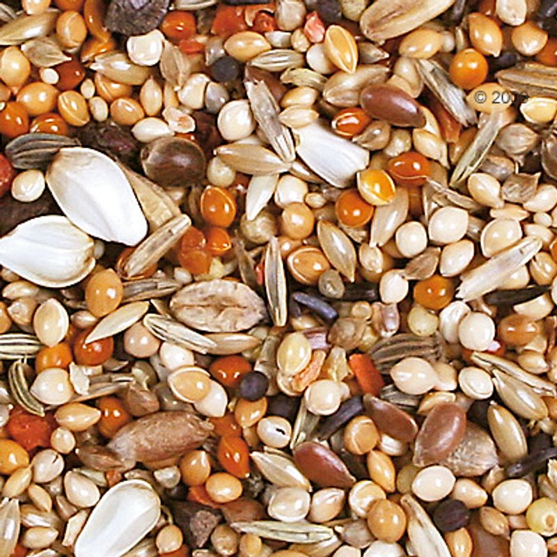 JR Birds Individual Lovebird/African Parrot Food 1kg