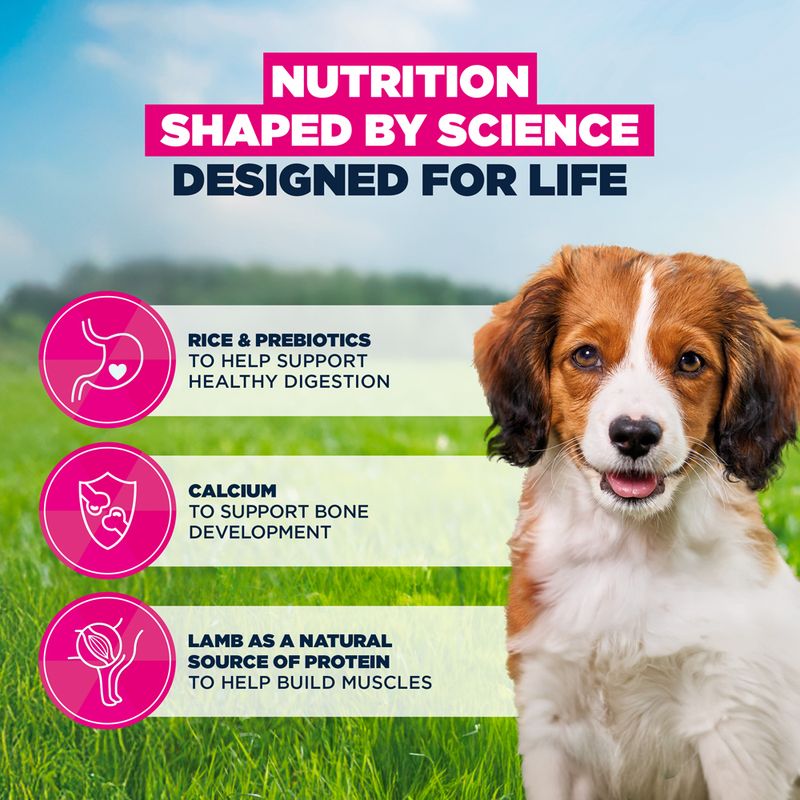 Eukanuba Premium Nutrition Puppy Small & Medium Breed Lamb & Rice 3kg