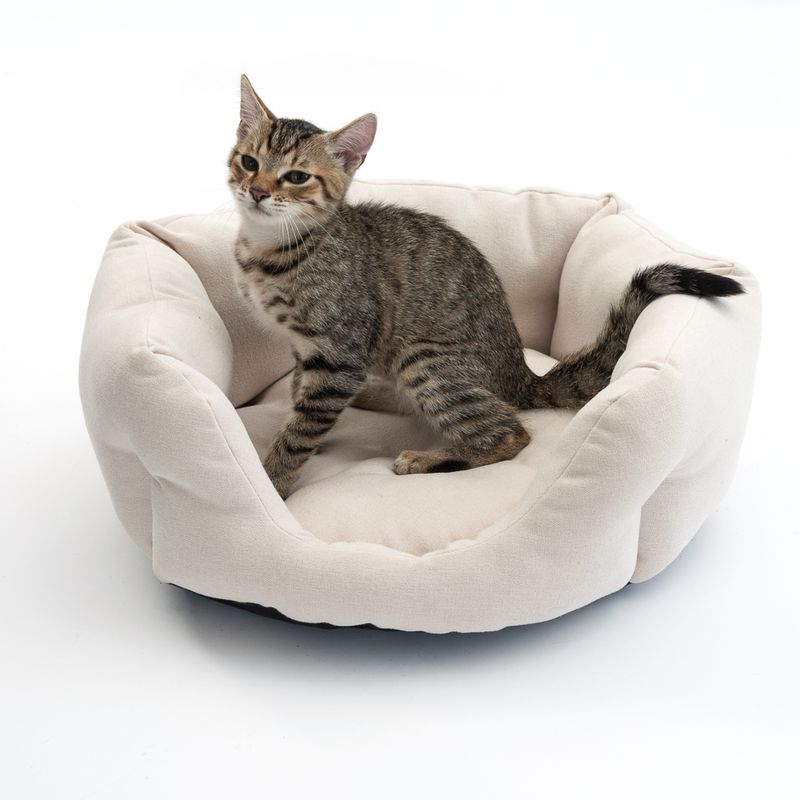 Modern Living Cuddly Bed Ostuni diameter 50 x (H) 18 cm