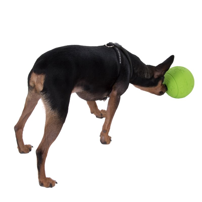 Snack Ball Dog Toy Diameter 10.5cm