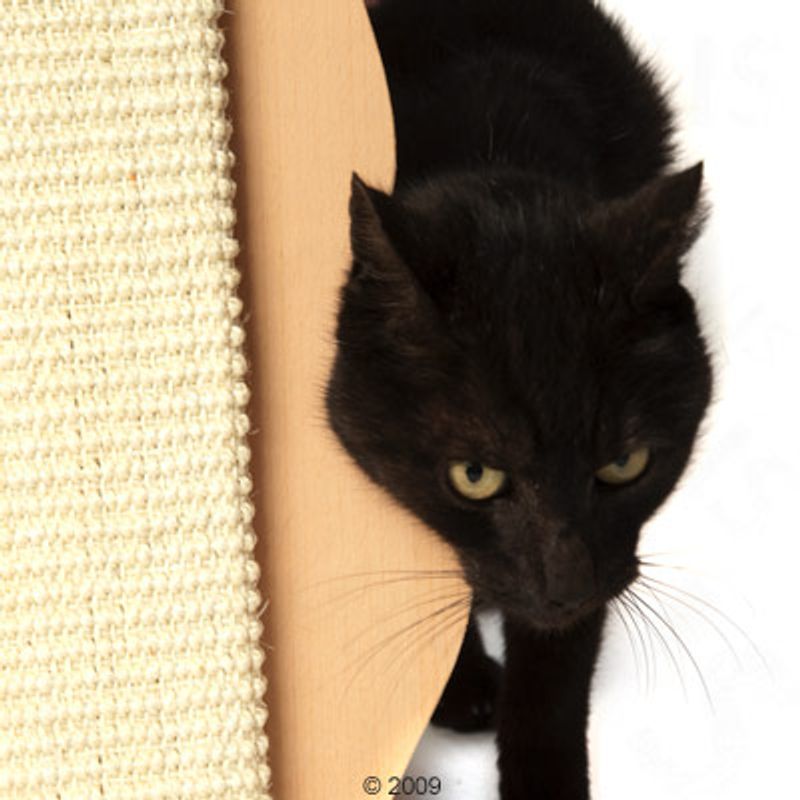 Trixie Cat-Shaped Scratching Board Beige / natural