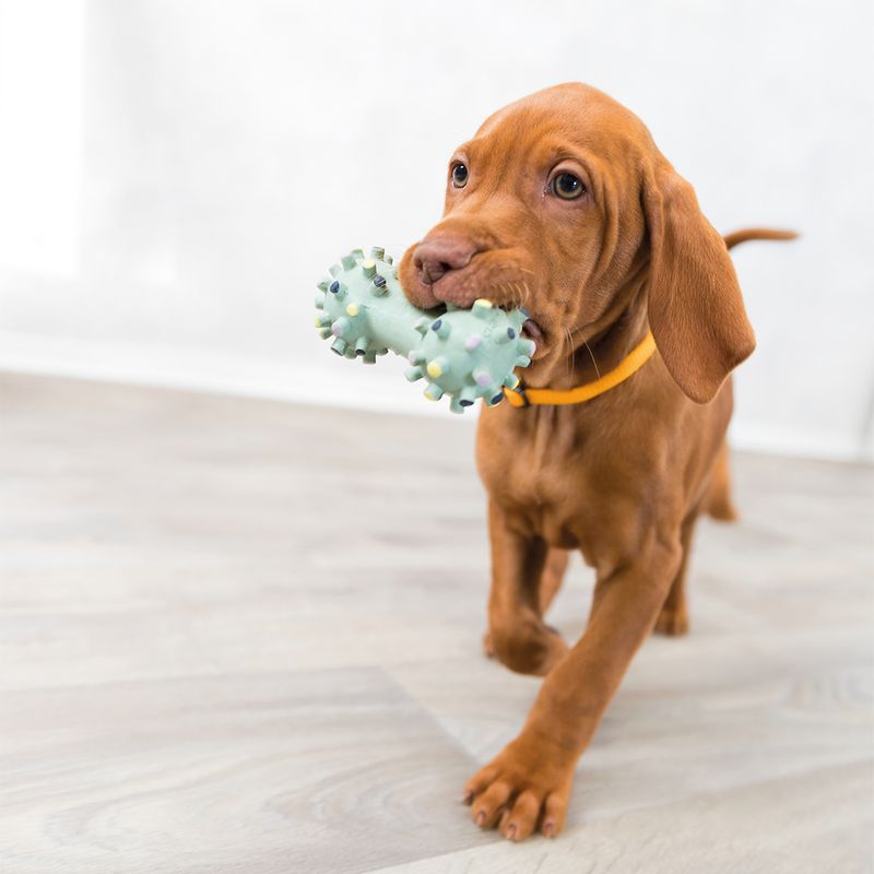 Trixie Junior Mini Dumbbell approx. 10 cm