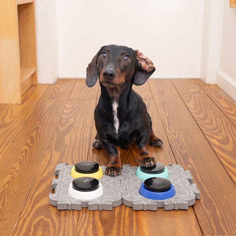 TIAKI Pet Talking Buttons \