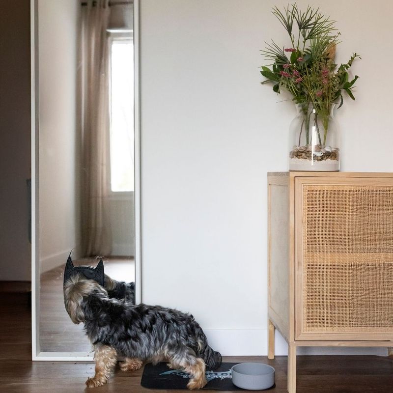 Warner Bros™ DC Batman Silicone Bowl 580ml, diameter 14cm