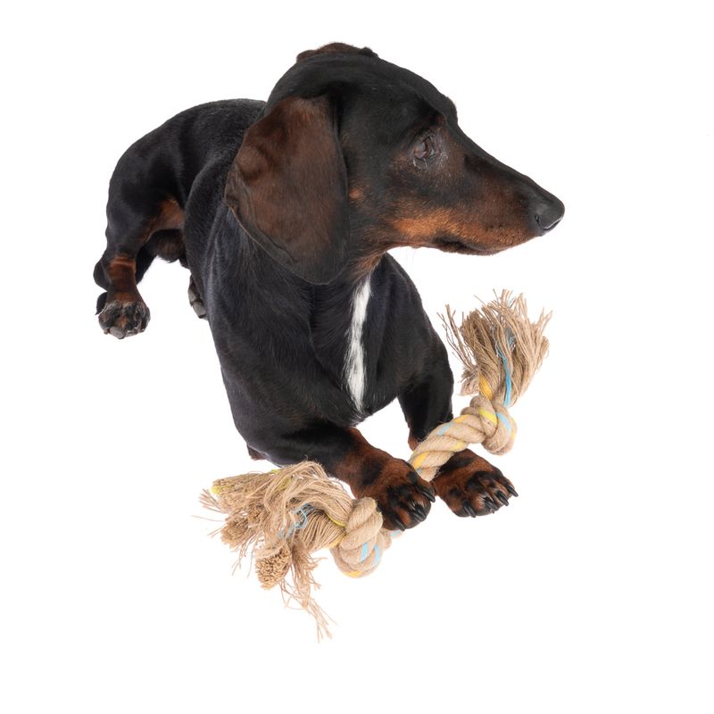 Modern Living Menorca Double Knot Rope Toy approx. 32 x 5 x 5cm (L x W x H)