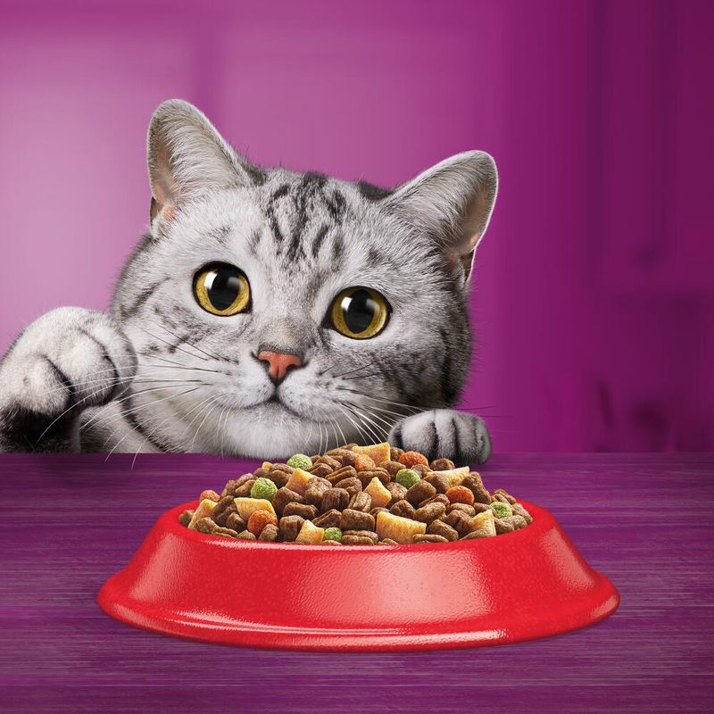 Whiskas 1+ Beef 800g