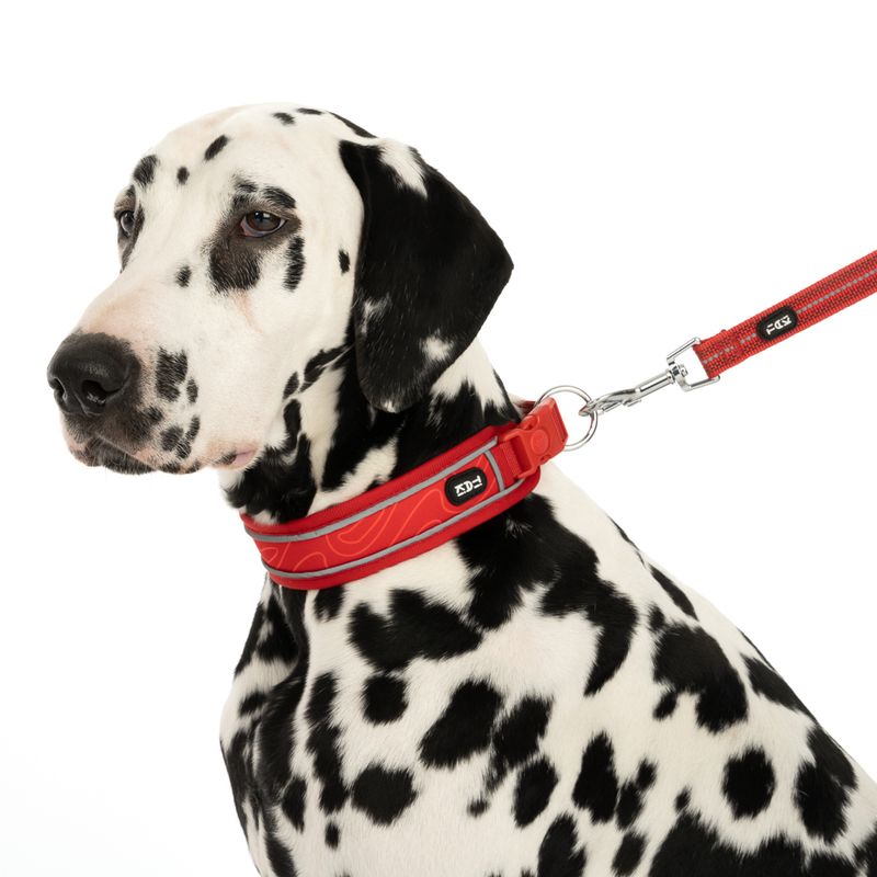 TIAKI Collar Soft & Safe, red Size XS: 25 - 35 cm neck circumference, W 40 mm