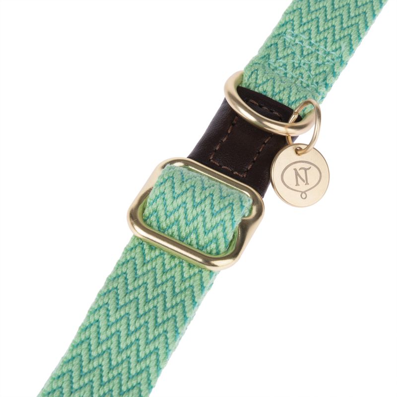 Nomad Tales Bloom Leash, mint 200 cm long, 20 mm wide