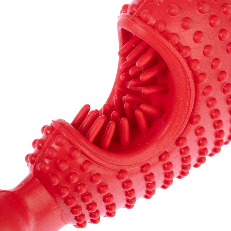 TIAKI Bone Fish Chew Toy 13 x 8 x 4 cm (L x W x H)