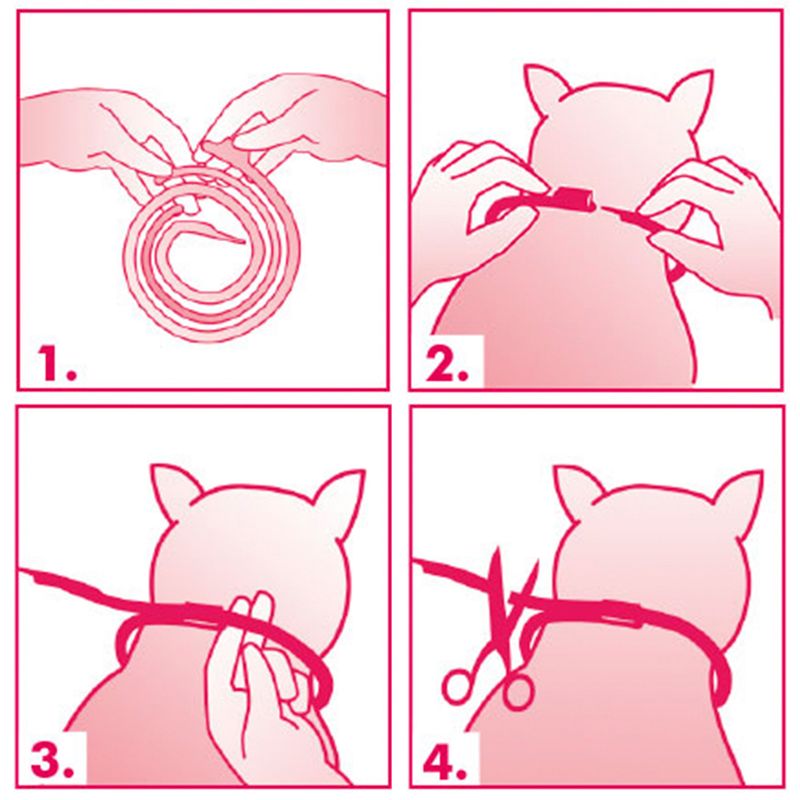 Felisept Home Comfort Calming Collar 1 Collar