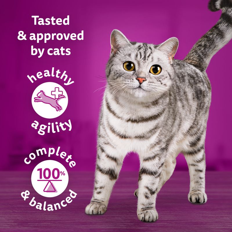 Whiskas Tasty Mix Pouches 48 x 85g Chef's Choice in Sauce
