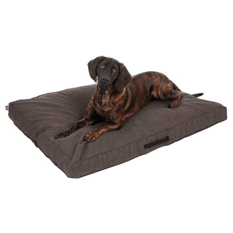 TIAKI Dog Mattress Memory Foam, brown S: L 80 x W 60 x H 17 cm