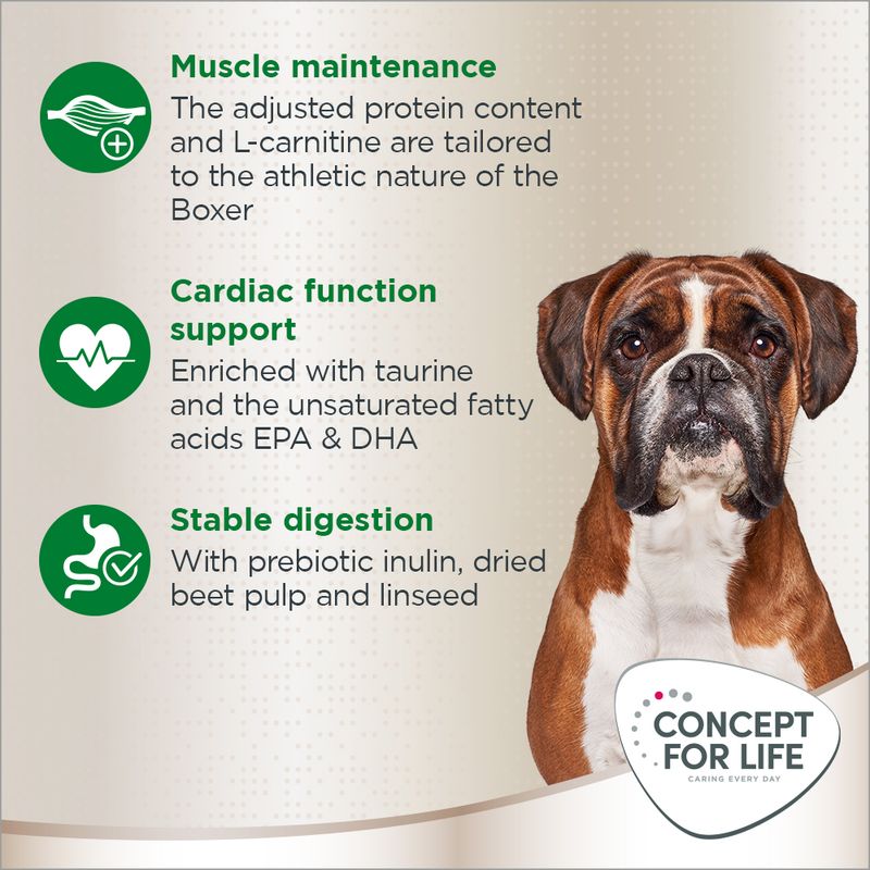 Concept for Life Boxer Adult 1.5kg