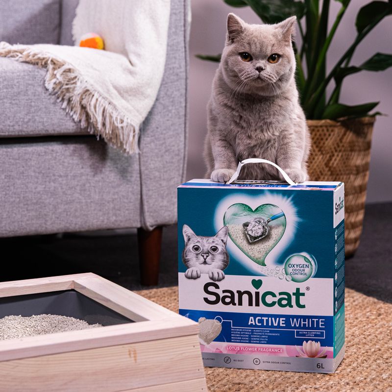 Sanicat Active White Lotus Flower Clumping Litter 6l