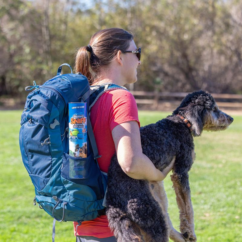 Chuckit! Sniff Fetch Balls Canister 4 balls, 6.5cm (W)