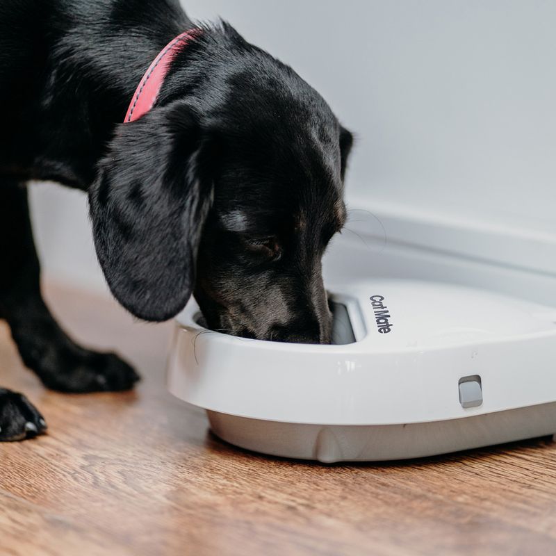 Cat Mate C300 Automatic Feeder 3-Meal Feeder