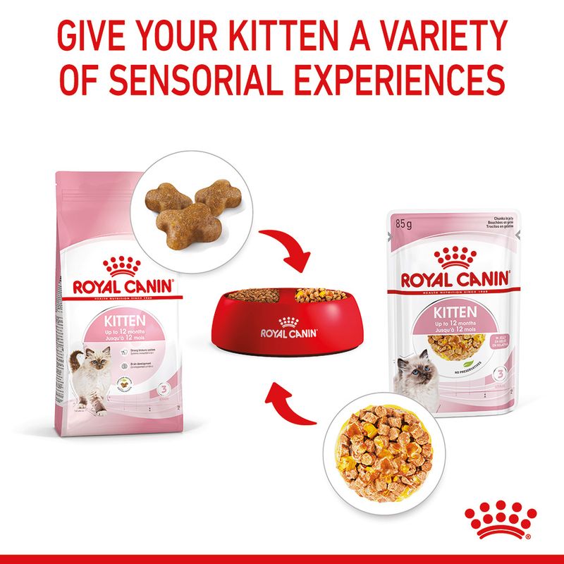 Royal Canin Kitten in Jelly 12 x 85g