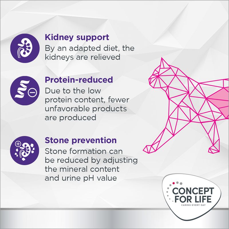 Concept for Life Veterinary Diet Renal Chicken 6 x 200g