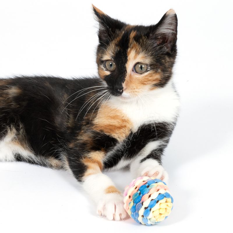 TIAKI Rainbow Rattle Ball Set Set of 2