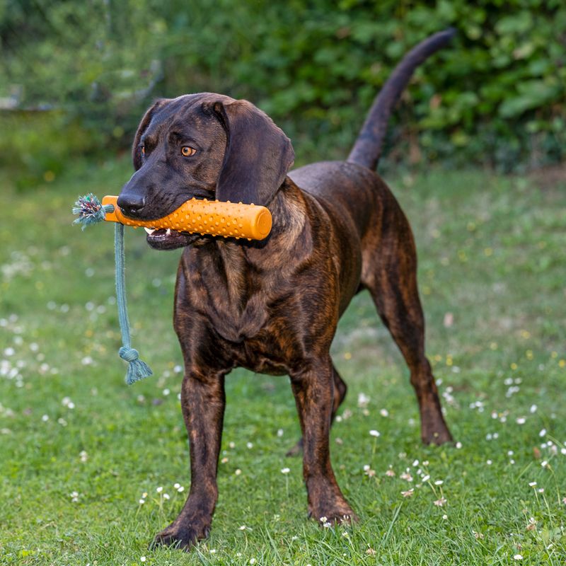 TIAKI Floating Fetch Toy with Rope diameter 4.5 x 27.5 cm