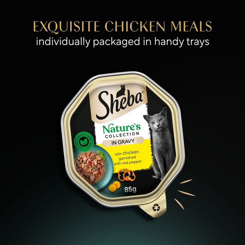 Sheba Nature’s Collection in Sauce 22 x 85g Chicken
