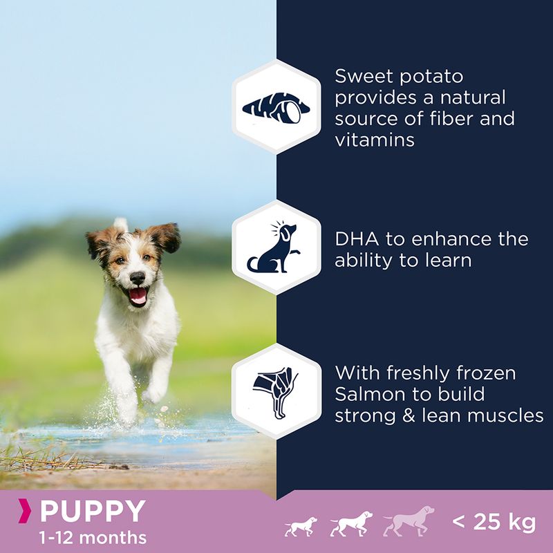 Eukanuba Grain-Free Small & Medium Breed Puppy with Salmon 3kg