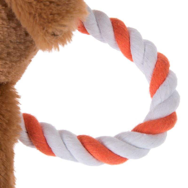 Bear with Rope Dog Toy 1 Toy