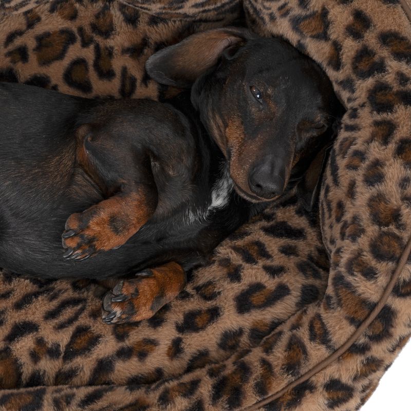 TIAKI Leo Dog Bed Size S: 50 x 40 x 20 cm (L x W x H)