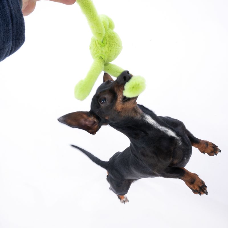 TIAKI Stretch Monster Ball Dog Toy 1 Toy