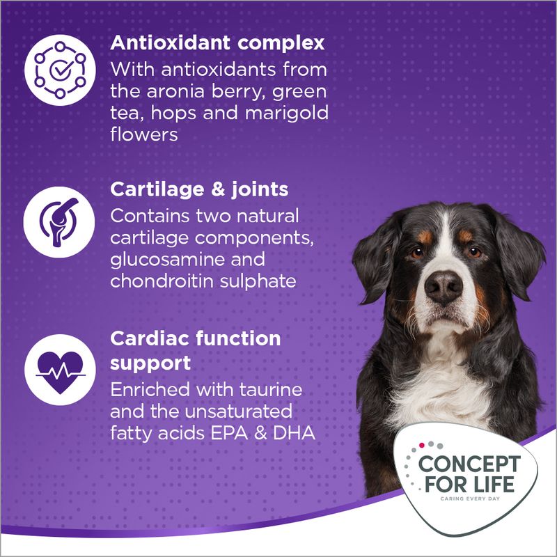 Concept for Life X-Large Adult 12kg
