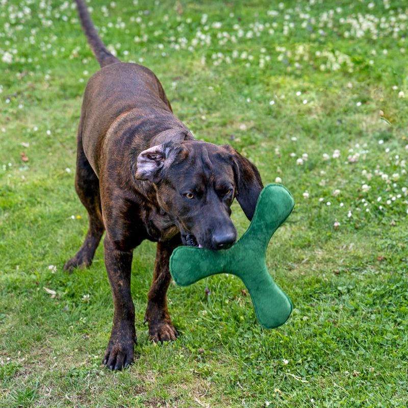 Nomad Tales Blush Plush Boomerang Dark Green