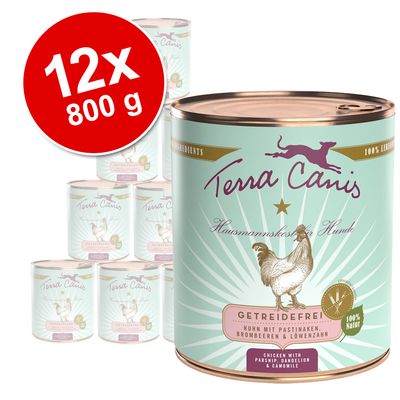 Saver Pack Terra Canis grain-free 12 x 800 g Duck with squash, strawberries & elderberries