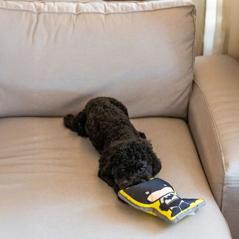 Warner Bros™ DC Batman Dog Toy 20 x 20 x 6 cm (L x W x H)