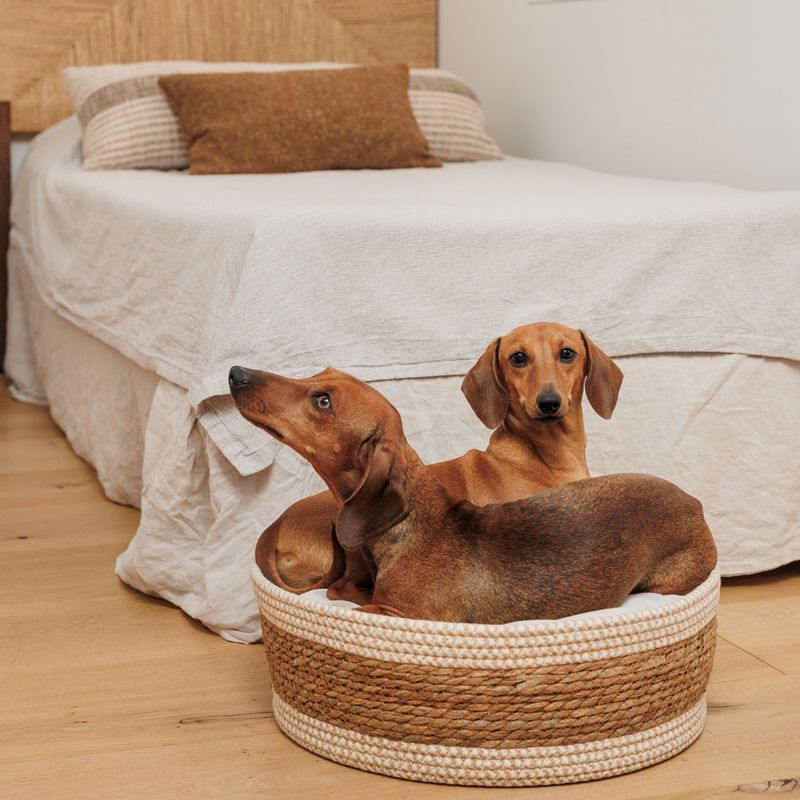 Modern Living Frontera Cuddle Bed diameter 40 x (H) 15 cm