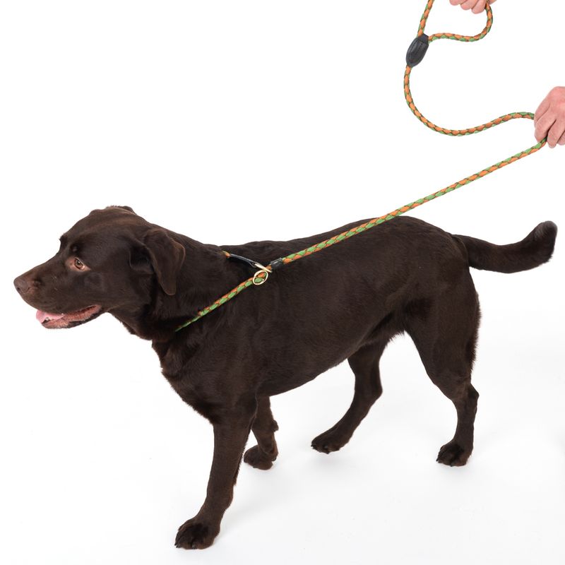 TIAKI Retriever Leash Twist 170 cm long, diameter 12 mm - green/brown