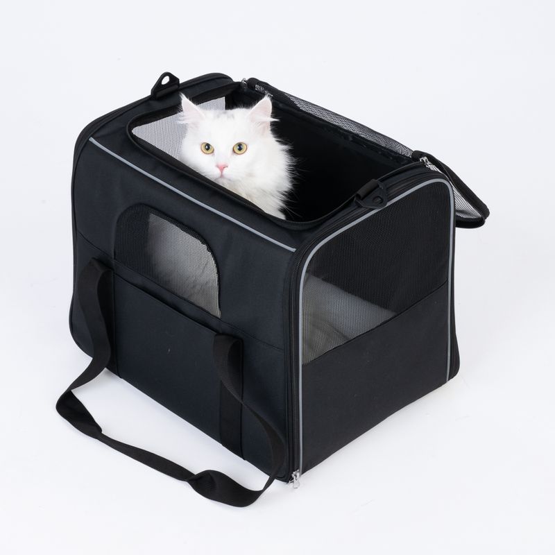 zooplus Basics Carry Bag Size S: 43.5 x 31 x 34 cm (L x W x H)