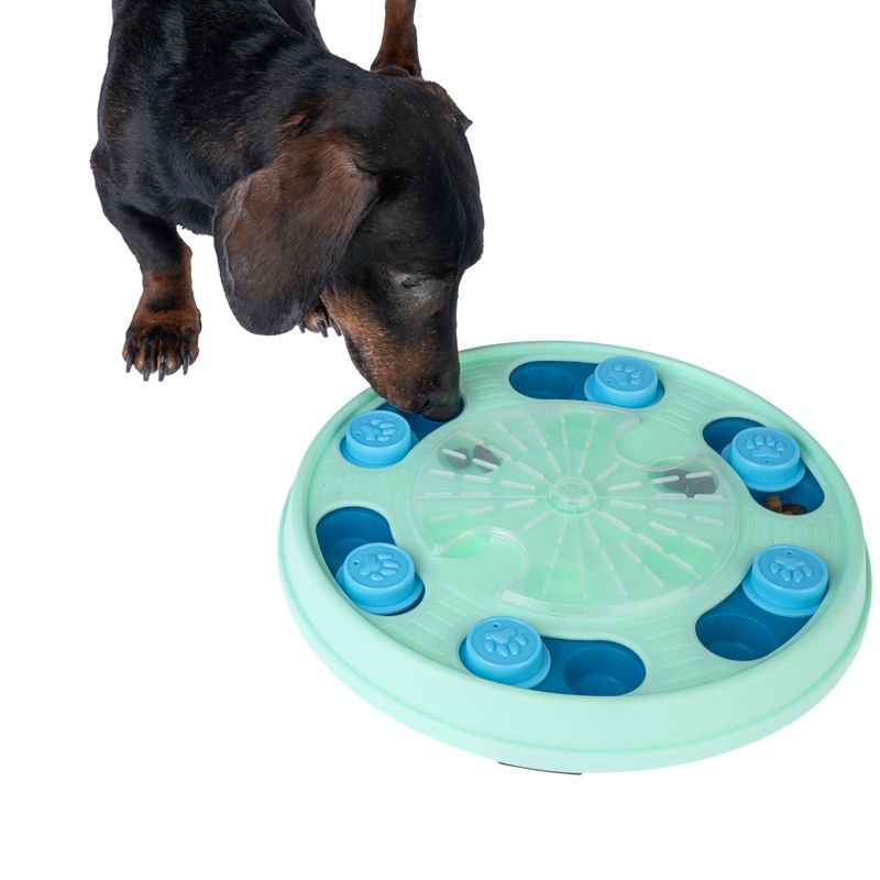 TIAKI Pet Puzzle Advanced Intelligence Toy 30 x 30 x 4.5 cm (L x W x H)