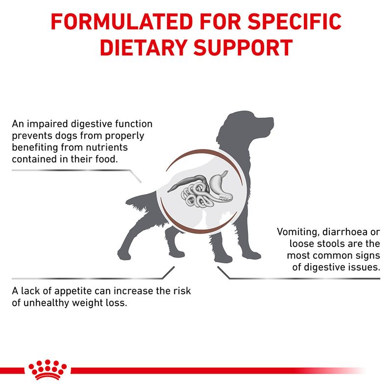 Royal Canin Veterinary Dog - Gastrointestinal 2kg