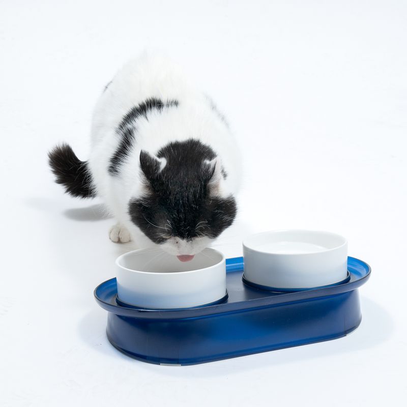 TIAKI Deep Sea Duo Ceramic Bowls 2 x 400ml, diameter 13cm