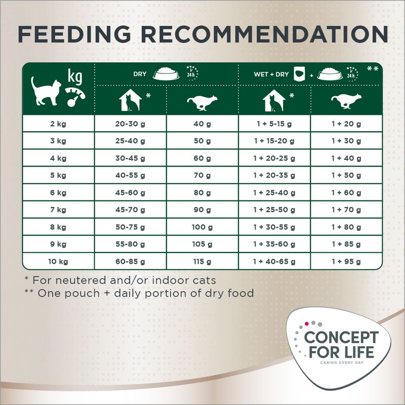 Concept for Life Persian Adult 400g