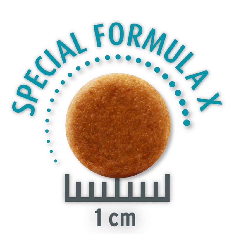 Concept for Life Economy Packs Sterilised Cats - Salmon (2 x 10 kg)