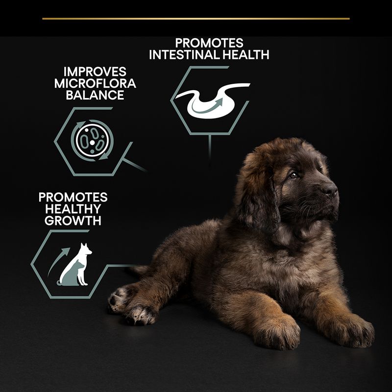 PURINA PRO PLAN Large Robust Puppy Sensitive Digestion Lamb 12kg