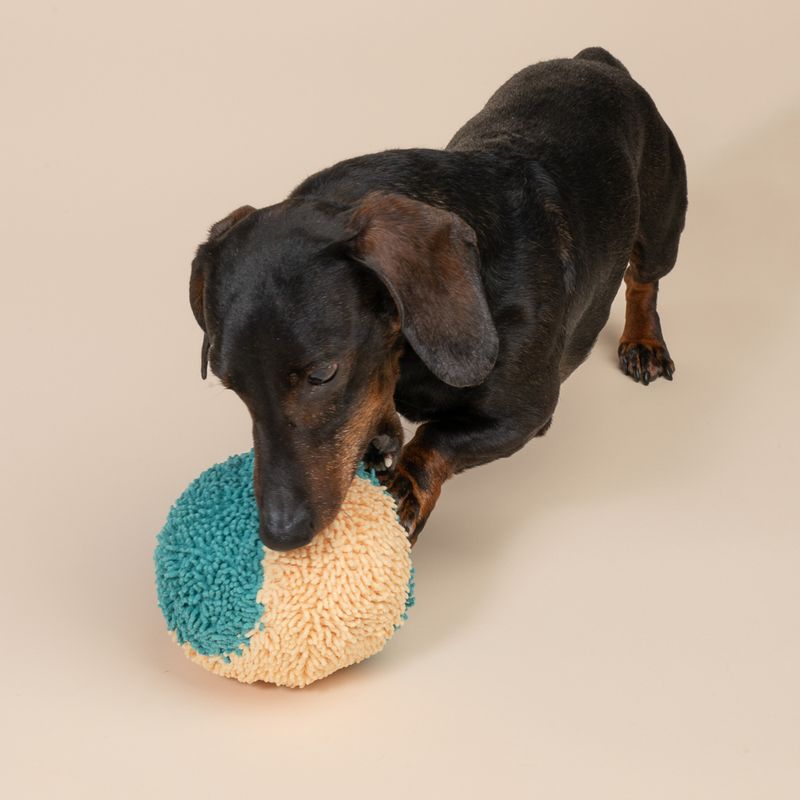 TIAKI Plush Ball Dog Toy diameter 13.2cm
