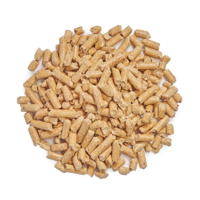 Sanicat Recycled Wood Cat Litter 20l