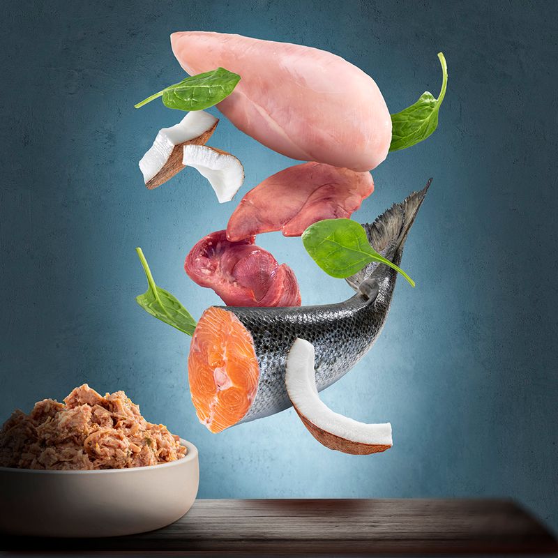 Purizon Adult Saver Pack 24 x 200g Chicken Fillet with Turkey & Salmon