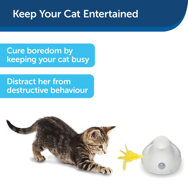 PetSafe® Peek-a-Bird Electronic Cat Toy 1 Toy