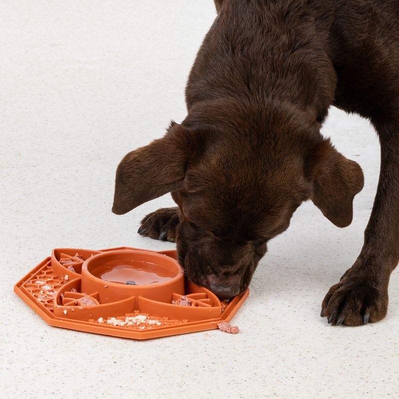 TIAKI Silicone Mandala Slow Feeder 200ml